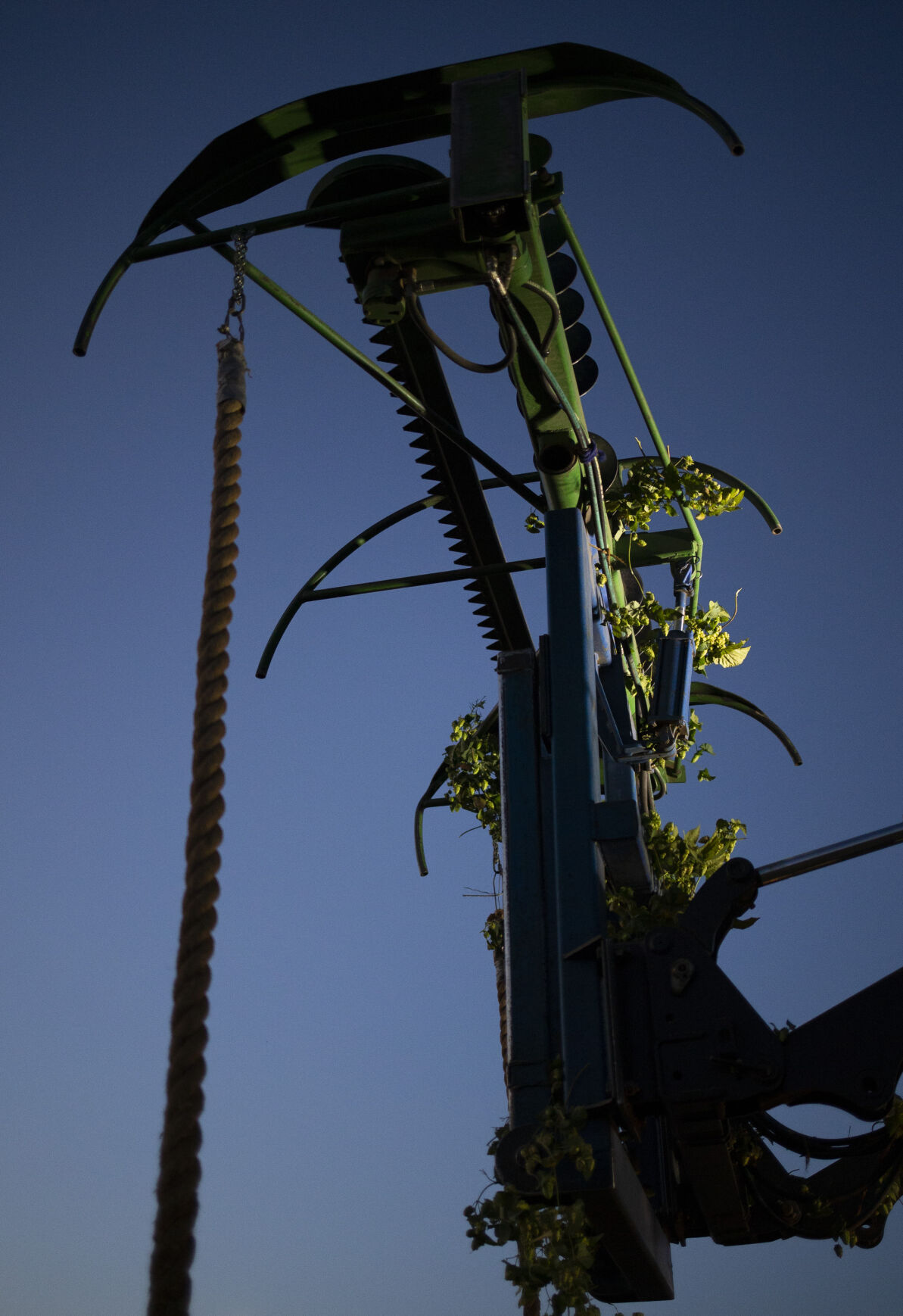 Night Hop Harvest at Morrier Ranch